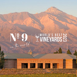 ボデガス・サレンタイン 