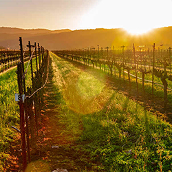 ジャン・クロード・ボワセUSA