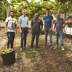 マニュエル・コスタ・エ・フィリョス