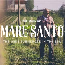 マーレ・サント・ワインズ