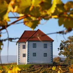 ズラティ・グリツ